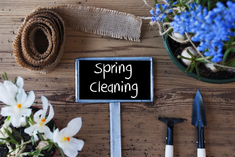 Sign With English Text Spring Cleaning. Spring Flowers Like Grape Hyacinth And Crocus. Gardening Tools Like Rake And Shovel. Hemp Fabric Ribbon. Aged Wooden Background