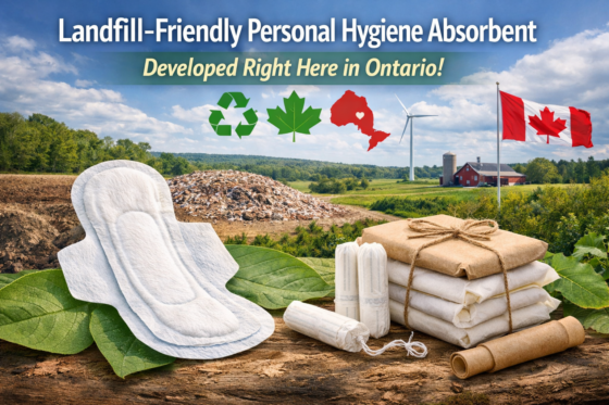 ChatGPT Image Feb 16 2026 07_53_40 PM